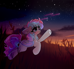 Size: 3000x2800 | Tagged: safe, artist:sunnlich, oc, oc only, oc:dreamyway skies, bat pony, pony, bat pony oc, female, field, flank, grass, high res, looking up, mare, scenery, solo, starry night, sunset, three toned mane