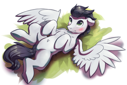 Size: 2662x1789 | Tagged: safe, artist:kam, soarin', pegasus, pony, g4, belly fluff, blushing, chest fluff, cute, feathered wings, featureless crotch, floppy ears, hooves, looking up, lying down, male, on back, simple background, soarinbetes, solo, spread wings, stallion, tail, underhoof, wings