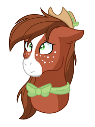 Size: 1024x1368 | Tagged: safe, artist:6-fingers-lover, oc, oc only, earth pony, pony, bowtie, bust, earth pony oc, freckles, magical gay spawn, male, offspring, parent:big macintosh, parent:trouble shoes, parents:troublemac, solo, stallion