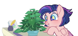 Size: 2795x1318 | Tagged: safe, artist:kurosawakuro, phyllis, oc, oc only, pegasus, pony, g4, base used, female, house plant, mare, philodendron, potted plant, simple background, solo, transparent background