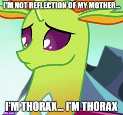 Size: 533x499 | Tagged: safe, edit, edited screencap, screencap, thorax, changedling, changeling, g4, caption, frown, image macro, implied queen chrysalis, king thorax, male, meme, solo, tenzin, text, the legend of korra