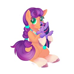 Size: 886x886 | Tagged: safe, artist:grodiechan, sunny starscout, twilight sparkle, earth pony, pony, g5, my little pony: a new generation, female, plushie, solo, toy