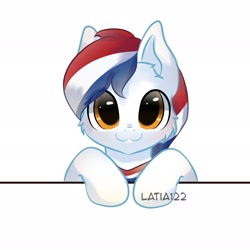 Size: 2048x2048 | Tagged: safe, artist:latia_122, oc, oc:woodshoe, pony, :3, high res, nation ponies, netherlands, ponified