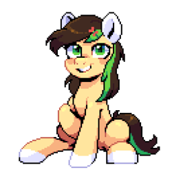 Size: 640x640 | Tagged: safe, artist:hikkage, oc, oc only, oc:verdant ardea, earth pony, pony, looking at you, pixel art, simple background, sitting, solo, transparent background