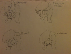 Size: 2048x1536 | Tagged: safe, artist:zombietator, oc, oc only, oc:claire, earth pony, pony, bust, earth pony oc, expressions, lineart, traditional art