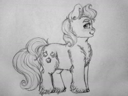Size: 1280x960 | Tagged: safe, artist:skior, cup cake, earth pony, pony, g4, monochrome, solo, traditional art