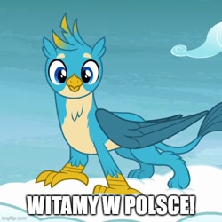 Size: 500x500 | Tagged: safe, edit, edited screencap, screencap, gallus, griffon, g4, school raze, birb, caption, cropped, cute, gallabetes, image macro, male, meme, poland, polish, text, translated in the comments, welcome
