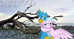 Size: 2064x1105 | Tagged: safe, anonymous artist, artist:ejlightning007arts, gallus, silverstream, classical hippogriff, griffon, hippogriff, g4, 2021, autumn, beach, cloud, driftwood, duet, female, friendship, hug, interspecies, looking at each other, lyrics in the description, male, ocean, rock, september, ship:gallstream, shipping, smiling, song reference, straight, translated in the description, youtube link in the description
