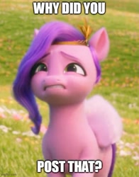 Size: 500x639 | Tagged: safe, edit, edited screencap, screencap, pipp petals, pegasus, pony, g5, my little pony: a new generation, spoiler:my little pony: a new generation, 3d, adorapipp, cropped, cute, drama queen pipp, female, image macro, imgflip, mare, meme, question, sad, sad pony, why would you post that