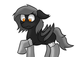 Size: 1280x975 | Tagged: safe, artist:tranzmuteproductions, oc, oc only, oc:tranzmute, bat pony, pony, bat pony oc, bat wings, clothes, looking down, male, simple background, socks, solo, stallion, white background, wide eyes, wings