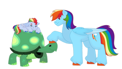 Size: 1280x732 | Tagged: safe, artist:itstechtock, rainbow dash, tank, oc, oc:spectrum rush, pegasus, pony, g4, colt, male, offspring, older, parent:rainbow dash, parent:soarin', parents:soarindash, simple background, transparent background