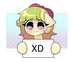 Size: 825x697 | Tagged: safe, artist:arwencuack, oc, earth pony, pony, commission, cute, floppy ears, glasses, hat, sign, solo, xd