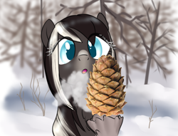 Size: 896x683 | Tagged: safe, artist:anonymous, oc, oc only, oc:pine ponder, pony, yakutian horse, breath, female, food, forest, looking at something, pinecone, snow, snow mare, solo