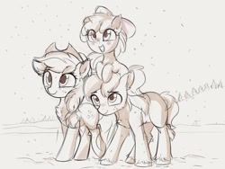 Size: 1548x1166 | Tagged: safe, artist:aureai-sketches, apple bloom, applejack, big macintosh, earth pony, pony, g4, adorabloom, apple siblings, apple sisters, blush sticker, blushing, brother and sister, chest fluff, cute, ear fluff, female, filly, jackabetes, macabetes, male, mare, open mouth, open smile, siblings, sisters, smiling, stallion