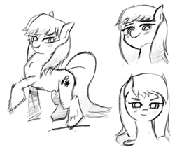 Size: 1866x1566 | Tagged: safe, artist:solid shrimp, oc, oc only, pony, yakutian horse, female, mare, monochrome, sketch, snow mare, solo