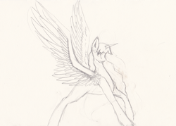 Size: 1203x863 | Tagged: safe, artist:penrosa, twilight sparkle, alicorn, pony, g4, female, horn, lineart, mare, solo, traditional art, twilight sparkle (alicorn), wings