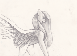 Size: 1242x901 | Tagged: safe, artist:penrosa, fluttershy, pegasus, pony, g4, female, grayscale, mare, monochrome, solo, traditional art, wings