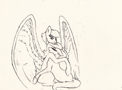 Size: 1210x894 | Tagged: safe, artist:penrosa, oc, oc only, oc:dove, oc:starburst, pegasus, pony, unicorn, kilalaverse, female, hug, lineart, mare, offspring, parent:flash sentry, parent:trixie, parent:twilight sparkle, parent:unnamed oc, parents:flashlight, pegasus oc, wings