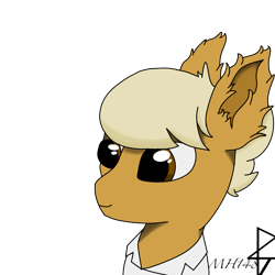 Size: 1000x1000 | Tagged: safe, artist:mh148, oc, oc only, oc:osgood canley, earth pony, pony, fallout equestria, bust, clothes, ear fluff, lab coat, simple background, solo, transparent background