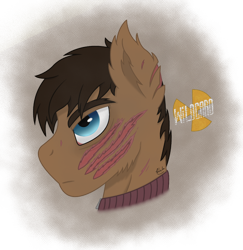 Size: 1040x1070 | Tagged: safe, artist:lonewriter, oc, oc:wildcard, earth pony, pony, fallout equestria, bust, crossover, fallout equestria: all roads lead home, metro, metro 2033, portrait, roadside picnic, s.t.a.l.k.e.r., scar, simple background, tired
