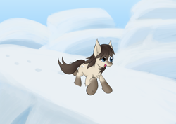 Size: 4960x3508 | Tagged: safe, artist:wapamario63, oc, oc only, oc:frosty flakes, pony, yakutian horse, chest fluff, female, fluffy, hoofprints, mare, open mouth, open smile, outdoors, running, smiling, snow, snow mare, solo, three quarter view