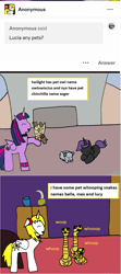 Size: 1021x2306 | Tagged: safe, artist:ask-luciavampire, twilight sparkle, oc, oc:nyx, alicorn, pony, vampire, vampony, g4, pets, twilight sparkle (alicorn)