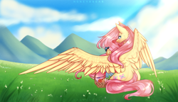 Size: 4088x2352 | Tagged: safe, artist:honeybbear, fluttershy, butterfly, pegasus, pony, g4, basket, female, field, flower, grass, grass field, high res, looking at something, mare, mountain, mountain range, one wing out, outdoors, raised hoof, scenery, sitting, sky, solo, spread wings, valley, windswept mane, wings