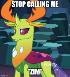 Size: 500x551 | Tagged: safe, edit, edited screencap, screencap, thorax, changedling, changeling, g4, season 9, uprooted, caption, changeling king, frown, image macro, invader zim, king thorax, male, meme, raised eyebrow, solo, text, thorax is not amused, unamused