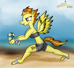 Size: 1076x982 | Tagged: safe, artist:whirlwindflux, spitfire, pegasus, anthro, g4, beach, midriff, solo, sports, swimming suit, volleyball