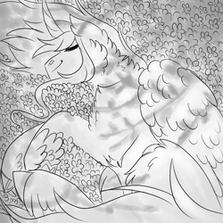 Size: 3000x3000 | Tagged: safe, artist:gingygin, oc, oc only, oc:penumbra, alicorn, pony, flower, fluffy, grayscale, high res, lying down, male, monochrome, offspring, on side, parent:king sombra, parent:twilight sparkle, parents:twibra, sleeping, solo, stallion