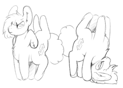 Size: 1316x944 | Tagged: safe, artist:groundcoffeemug, oc, oc only, earth pony, pony, eight legs, extra legs, monochrome, multiple legs, multiple limbs, sketch, solo, underhoof, upside down, wat