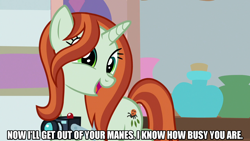 Size: 1280x720 | Tagged: safe, edit, edited screencap, screencap, crackle cosette, queen chrysalis, pony, unicorn, g4, season 8, caption, disguise, disguised changeling, female, image macro, mare, meme, solo, text