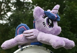 Size: 2000x1387 | Tagged: safe, artist:bastler, twilight sparkle, alicorn, pony, g4, irl, photo, plushie, twilight sparkle (alicorn)