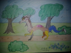 Size: 4160x3120 | Tagged: safe, artist:diamond06mlp, oc, oc only, draconequus, atg 2018, draconequus oc, male, newbie artist training grounds, outdoors, signature, solo, traditional art, tree