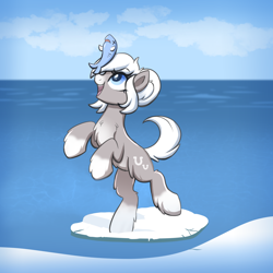 Size: 4000x4000 | Tagged: safe, alternate version, artist:confetticakez, oc, oc only, oc:snow shoe, oc:snow shoes, fish, pony, yakutian horse, /mlp/, balancing on nose, bipedal, chest fluff, cloud, coat markings, cute, dead, female, fluffy, happy, ice, looking at something, mare, ocbetes, ocean, pale belly, ponybooru import, snow, snow mare, socks (coat markings), solo, water, x eyes