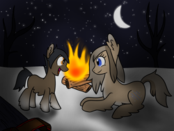 Size: 1600x1200 | Tagged: safe, artist:machacapigeon, oc, oc only, oc:blizzard hearth, oc:permafrost, earth pony, pony, yakutian horse, brother and sister, female, fireplace, foal, male, mare, moon, siblings, snow, snow mare, stars, wood