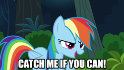 Size: 1280x720 | Tagged: safe, edit, edited screencap, screencap, rainbow dash, pegasus, pony, g4, season 6, stranger than fan fiction, caption, female, image macro, mare, meme, text