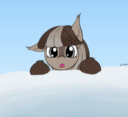 Size: 1720x1576 | Tagged: safe, artist:wapamario63, oc, oc only, oc:winter wonder, pony, yakutian horse, :o, bust, ear fluff, female, front view, full face view, looking at you, mare, one ear down, open mouth, peeking, simple background, snow, snow mare, solo