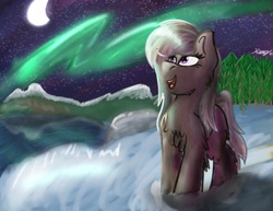 Size: 2048x1583 | Tagged: safe, artist:kalashnikitty, oc, oc only, pony, yakutian horse, aurora borealis, female, forest, looking up, mare, moon, snow mare