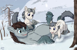 Size: 1825x1200 | Tagged: safe, artist:anonymous, oc, oc only, pony, yakutian horse, female, filly, foal, mare, mountain, snow, snow mare, tree