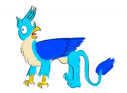 Size: 1024x745 | Tagged: safe, artist:horsesplease, gallus, griffon, g4, clucking, derp, doodle, gallus the rooster, gallusposting