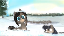 Size: 1920x1080 | Tagged: safe, artist:davierocket, oc, oc only, oc:cold shoulder, oc:pine ponder, pony, yakutian horse, cloud, female, forest, mare, shrub, snow, snow mare, tree