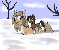 Size: 1400x1200 | Tagged: safe, artist:machacapigeon, oc, oc only, oc:blizzard hearth, oc:permafrost, pony, yakutian horse, brother and sister, chest fluff, cloud, coat markings, colt, cute, duo, ear fluff, ears, excited, female, fluffy, foal, looking at something, male, mare, open mouth, pale belly, ponies riding ponies, riding, siblings, snow, snow mare, socks (coat markings), tree