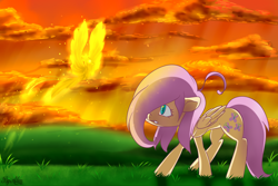 Size: 1500x1000 | Tagged: safe, artist:gnidagovnida, fluttershy, pegasus, phoenix, pony, g4, 2014, cloud, cute, grass, hair over one eye, shyabetes, sky, stray strand