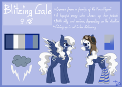 Size: 3000x2146 | Tagged: safe, artist:lambydwight, oc, oc:blitzing gale, pegasus, pony, high res, reference sheet