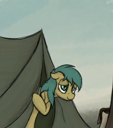 Size: 1000x1133 | Tagged: safe, artist:ahorseofcourse, earth pony, pony, female, floppy ears, lidded eyes, mare, solo, tent, tired eyes