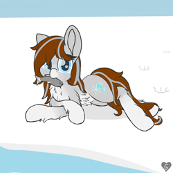 Size: 2000x2000 | Tagged: safe, artist:gnashie, oc, oc only, oc:silver snow, fish, pony, yakutian horse, belly button, chest fluff, high res, hoofprints, looking at you, lying down, mouth hold, on side, snow, snow mare, solo, water