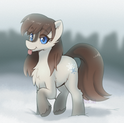 Size: 966x959 | Tagged: safe, artist:puetsua, oc, oc only, oc:frosty flakes, pony, yakutian horse, :p, blue eyes, chest fluff, cutie mark, eye clipping through hair, eyelashes, female, mane, raised hoof, raspberry, snow, snow mare, solo, standing, tail, tongue out