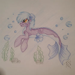 Size: 1918x1918 | Tagged: safe, artist:taigatanfan, oc, oc only, merpony, seapony (g4), blue mane, bubble, dorsal fin, fish tail, flowing tail, orange eyes, rock, seaweed, signature, simple background, smiling, solo, swimming, tail, underwater, water