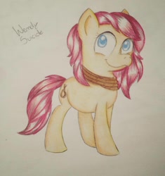 Size: 901x959 | Tagged: safe, artist:milledpurple, oc, oc only, earth pony, pony, earth pony oc, female, mare, noose, smiling, solo, traditional art